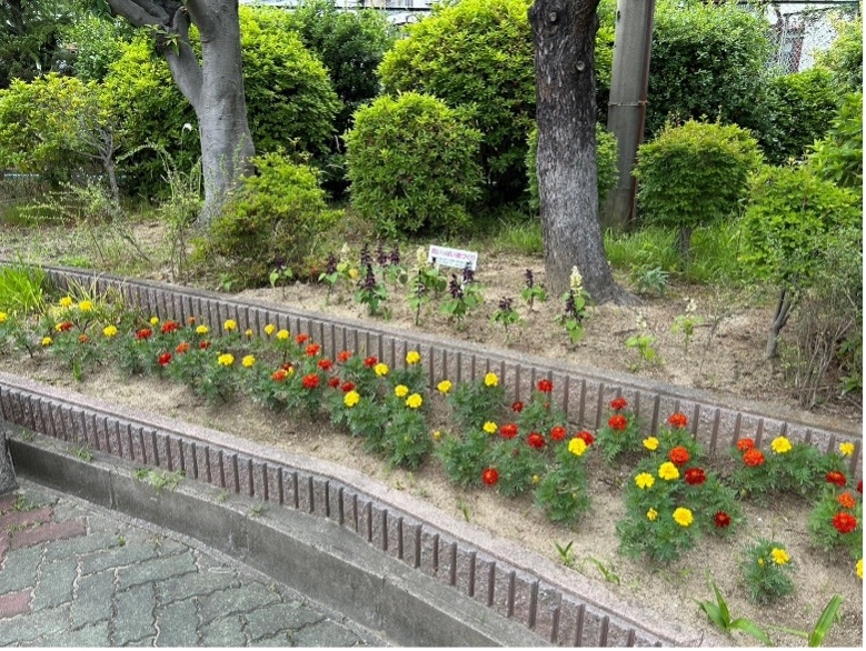 子どもたちからのお手紙