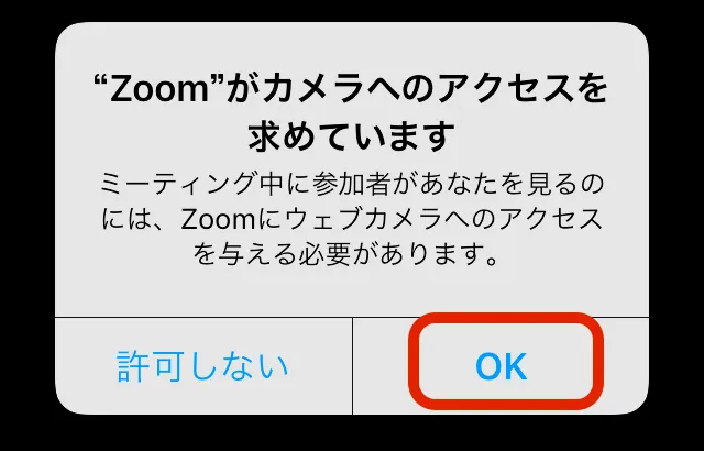 Zoom