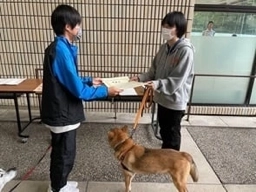 キッズジョブまつやま