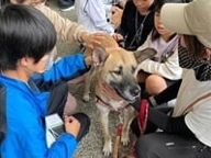 キッズジョブまつやま