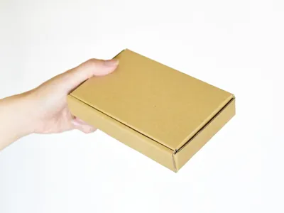 パンフレットが届いたら