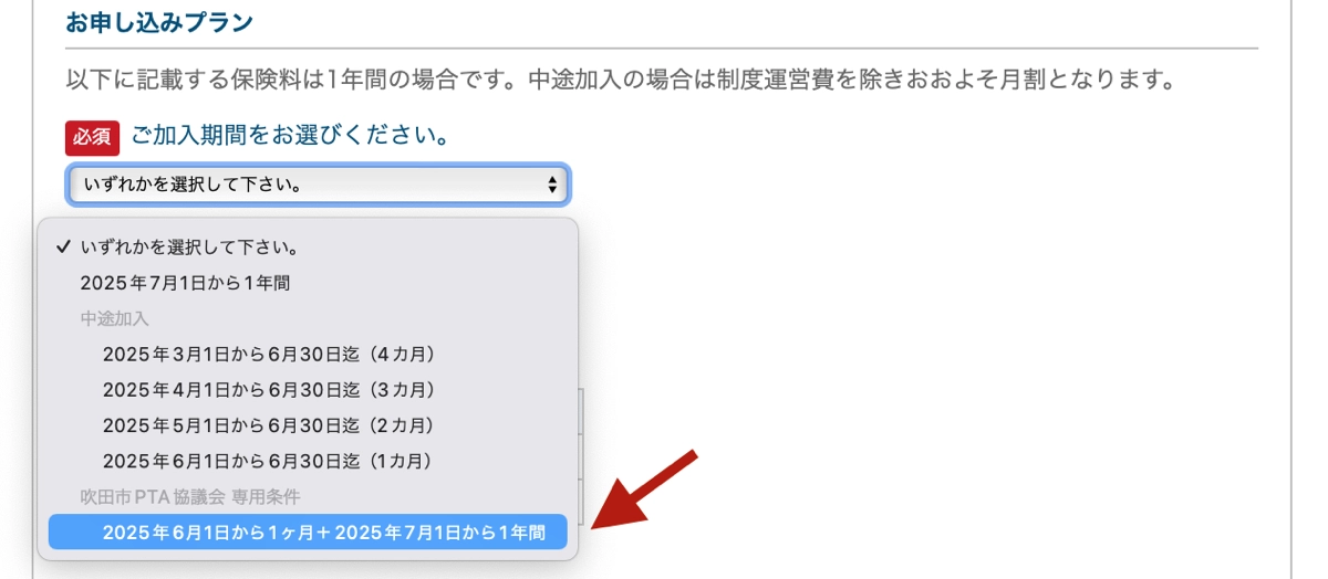 13ヶ月