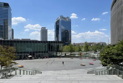 パブリックデイ