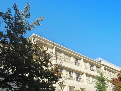 教育や学校