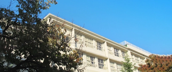教育と学校